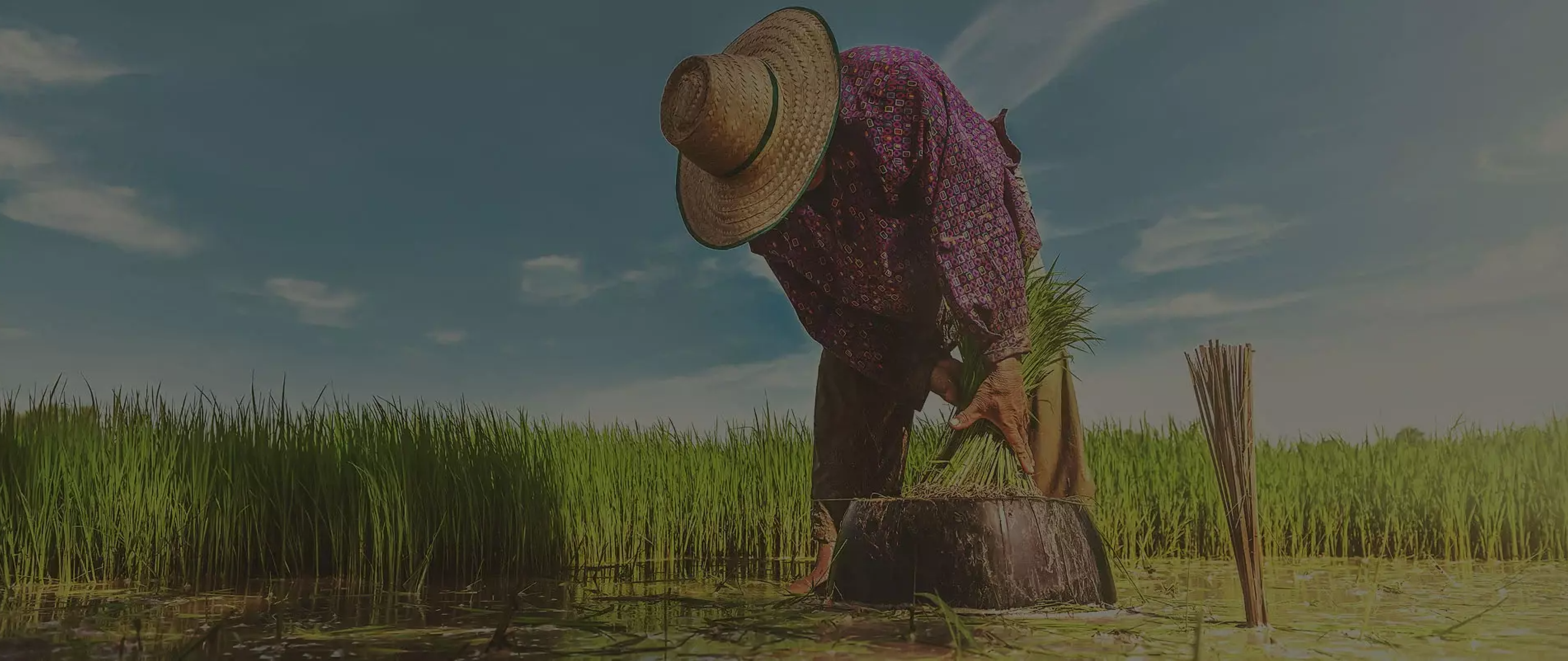 farmer