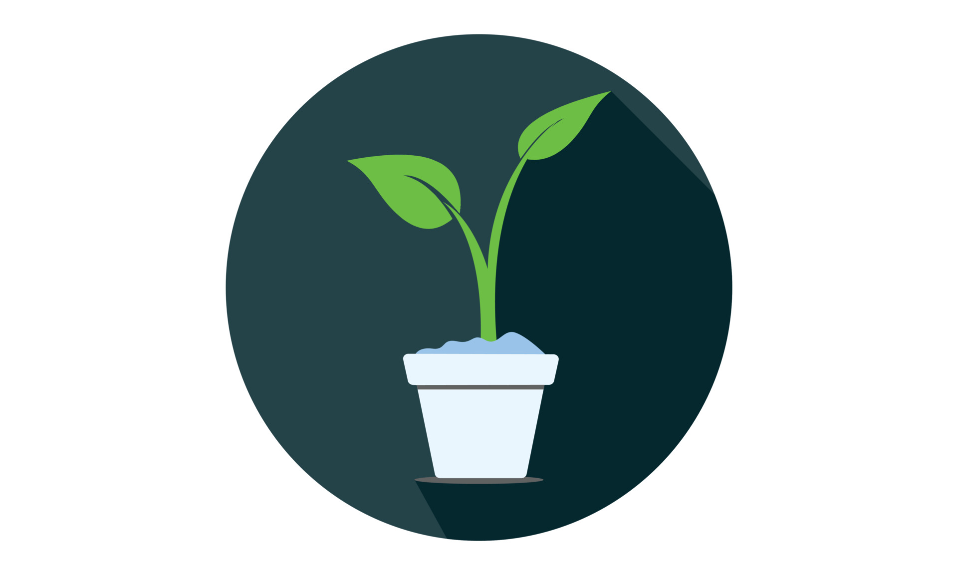 soil